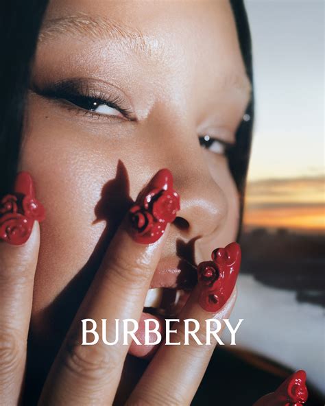 burberry spring 2014 campaign|burberry 2023 collection.